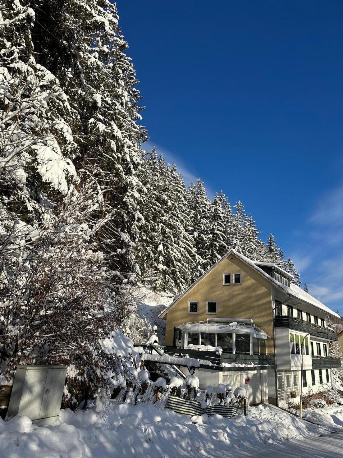 Haus Georgenhoehe Wildemann Exterior foto